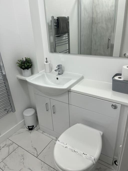 Glenbervie - Beautifully Refurbished, Self-Contained Apartment دنفرملاين المظهر الخارجي الصورة