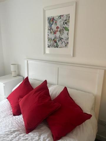 Glenbervie - Beautifully Refurbished, Self-Contained Apartment دنفرملاين المظهر الخارجي الصورة